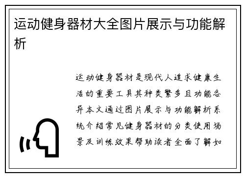 运动健身器材大全图片展示与功能解析
