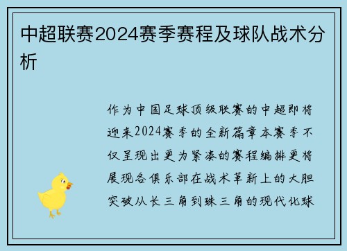 中超联赛2024赛季赛程及球队战术分析